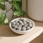 Dalmatian Jasper Tumbled Stones from Stonebridge Imports