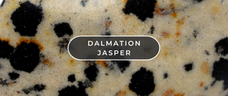 What Is Dalmatian Jasper?