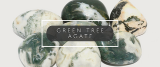 Connect Deeper with Mother Nature with Green Tree Agate