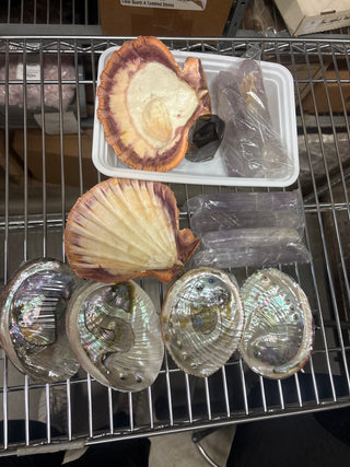 Shell, Amethyst, Quartz OTT Bundle