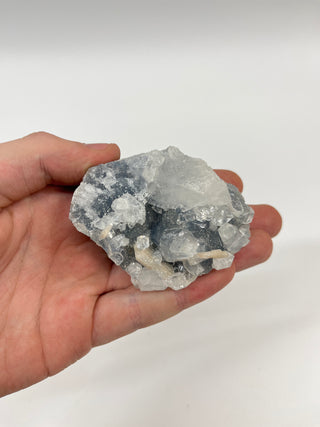 Zeolite Cluster Flat - 24 Pieces    from Stonebridge Imports