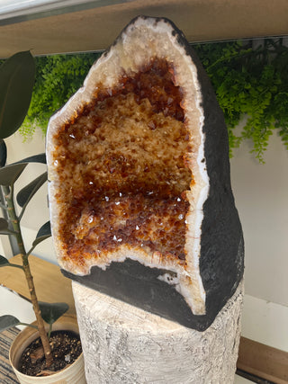Citrine Cathedral Unique #83 - 15.78kg - 13" (Enhanced) from Stonebridge Imports