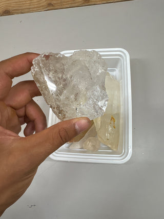 Clear Quartz, Lemurian Points - Hamilton Collection 006 from Stonebridge Imports