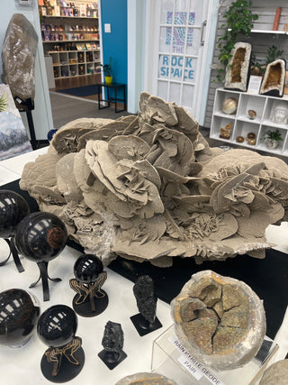 Elephant Ear Selenite Cluster Unique #1 from Stonebridge Imports