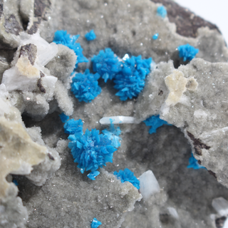 Cavansite Cluster on Matrix from India - Unique #12 - 3 5/8" from Stonebridge Imports