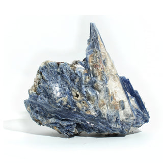 Blue Kyanite Cluster U#116, bladed steel-blue kyanite crystals fanning out of a cream-white quartz matrix, photographed on a clean white background. Stonebridge Imports.