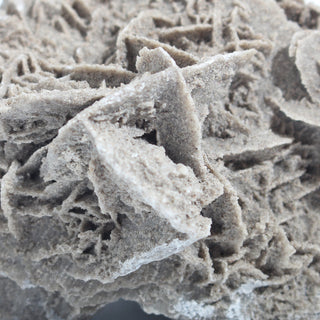 Elephant Ear Selenite Cluster