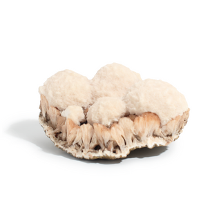 Scolecite and Stilbite Cluster Unique #1 from Stonebridge Imports