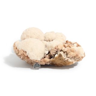 Scolecite and Stilbite Cluster Unique #2 from Stonebridge Imports
