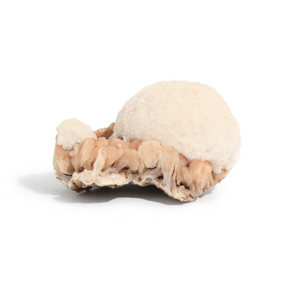 Scolecite and Stilbite Cluster Unique #4 from Stonebridge Imports