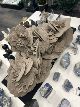 Elephant Ear Selenite Cluster Unique #1 from Stonebridge Imports