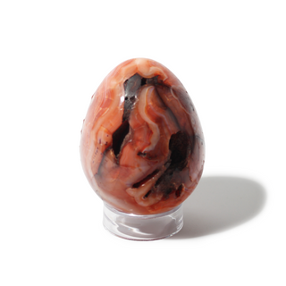 Carnelian Egg Unique #6 - 3 3/8"