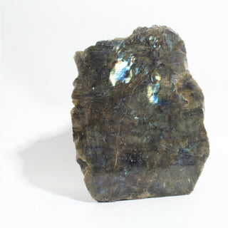 Labradorite Polished Face Cut Base Unique #2, an upright freeform with blue and gold flash across its polished face and a flat sawn base, photographed on a clean white background. Stonebridge Imports.