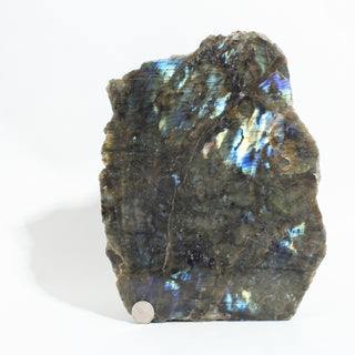 Labradorite Polished Face Cut Base Unique #2 from Stonebridge Imports