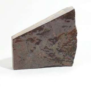 Ammolite Fossil Specimen #2 from Stonebridge Imports