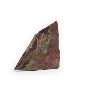 Ammolite Fossil Specimen #4 from Stonebridge Imports