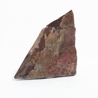 Ammolite Fossil Specimen #4 from Stonebridge Imports