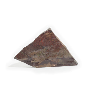 Ammolite Fossil Specimen #4 from Stonebridge Imports