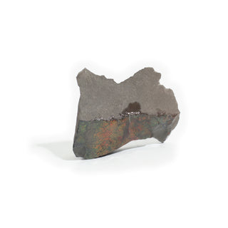 Ammolite Fossil Specimen #5 from Stonebridge Imports