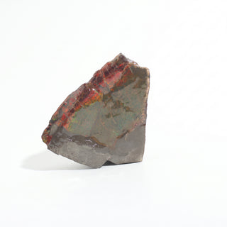 Ammolite Fossil Specimen #6 Default Title from Stonebridge Imports