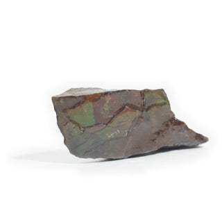 Ammolite Fossil Specimen #14 from Stonebridge Imports