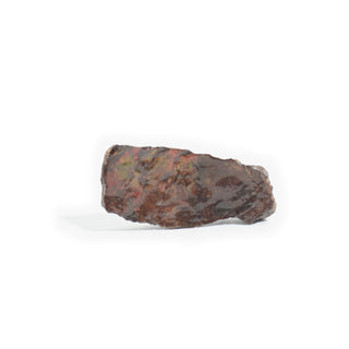 Ammolite Fossil Specimen #17 from Stonebridge Imports
