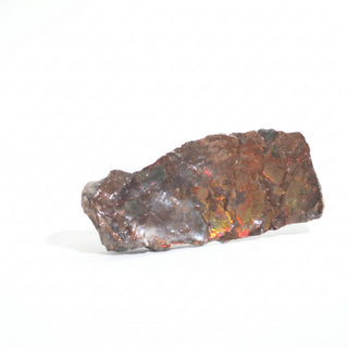 Ammolite Fossil Specimen #17 from Stonebridge Imports