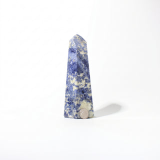 Sodalite Generator Unique #17 from Stonebridge Imports