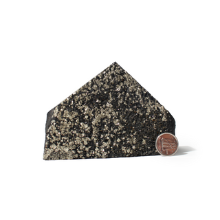 Pyrite on Basalt Cut Base Point - 2 1/2" to 5" from Stonebridge Imports
