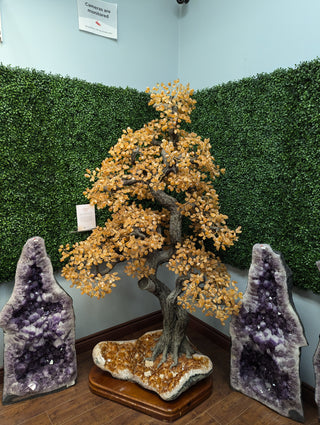 Citrina of Abundance - Citrine Tree - 6.5 Foot Tall    from Stonebridge Imports