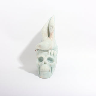 Amazonite Bird Skull Carving Unique, photographed on a clean white background. Stonebridge Imports.