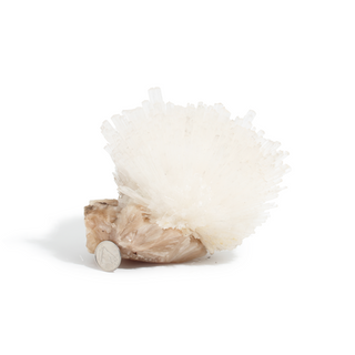 Scolecite from India - Unique #7 - 4 3/4" from Stonebridge Imports