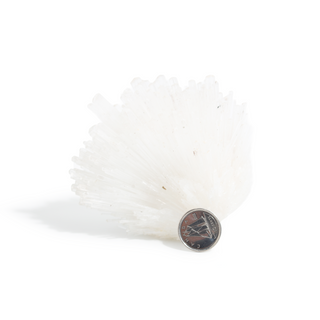 Scolecite from India - Unique #10 - 4" from Stonebridge Imports
