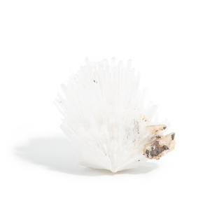 Scolecite from India - Unique #10 - 4" from Stonebridge Imports