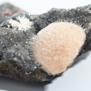 Thomsonite from India - Unique #3 - 3" from Stonebridge Imports