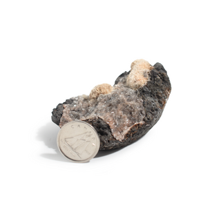 Thomsonite from India - Unique #11 - 2 1/4" from Stonebridge Imports