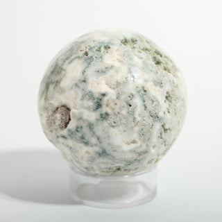 Extra Small #2 — Green Tree Agate Sphere, white stone threaded with green moss-like dendrites, alternate side, photographed on a clean white background. Stonebridge Imports.