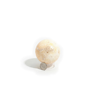 Small #1 - 2 1/4" — Orange Calcite Sphere - Mexico photographed beside a coin for scale, showing the paler, frostier face of the 2 1/4" sphere on a clean white background. Stonebridge Imports.