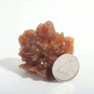 1 1/2" — Natural Citrine - Morocco, an amber crystal rosette beside a Canadian dime for scale, photographed on a clean white background. Stonebridge Imports.