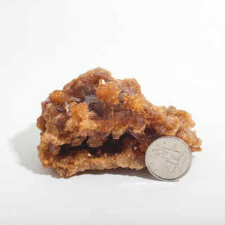 2" — Natural Citrine - Morocco, a wide amber crystal cluster with a hollow crystal-lined pocket, beside a Canadian dime for scale, photographed on a clean white background. Stonebridge Imports.