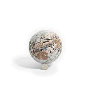Sea Jasper Sphere Unique #1 photographed beside a coin for scale, showing its orbicular ocean jasper patterning on a clean white background. Stonebridge Imports.