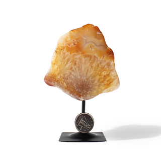 Agate Geode on Metal Stand - 3 1/2" to 5 1/2" from Stonebridge Imports