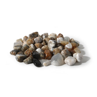 Agate Dendrite Tumbled Stones Medium   from Stonebridge Imports