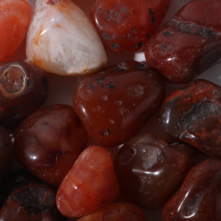Carnelian Red Agate Tumbled Stones    from Stonebridge Imports