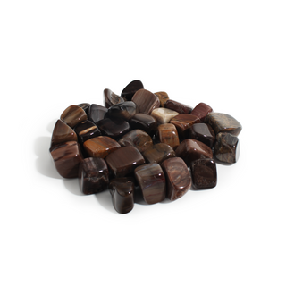 Agatized Wood Tumbled Stones (Petrified Woods) Large from Stonebridge Imports