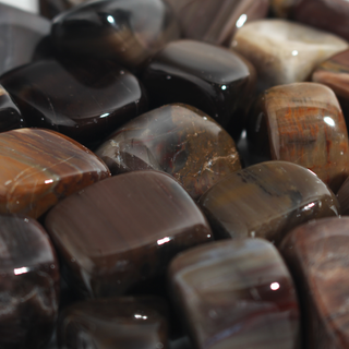 Agatized Wood Tumbled Stones (Petrified Woods) from Stonebridge Imports