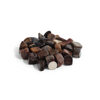 Agatized Wood Tumbled Stones (Petrified Woods) from Stonebridge Imports