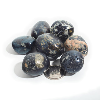 Large — Covellite Tumbled Stones, seven polished indigo-black stones with gold pyrite flecks beside a Canadian dime for scale, photographed on a clean white background. Stonebridge Imports.