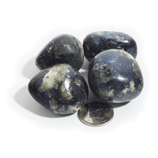 Extra Large — Covellite Tumbled Stones, four polished indigo-black stones with gold pyrite patches beside a Canadian dime for scale, photographed on a clean white background. Stonebridge Imports.