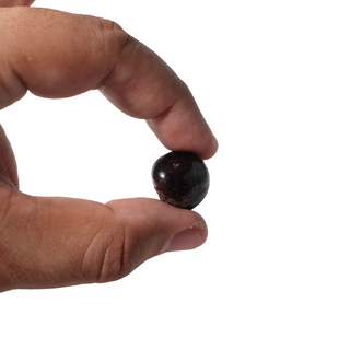 Red Garnet A Tumbled Stones Medium from Stonebridge Imports